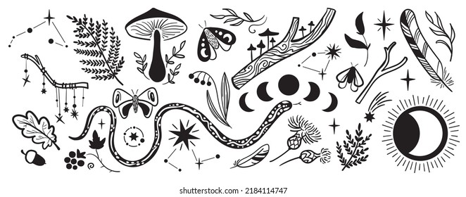 Mystical vintage set of vector forest elements: branch, mushroom, moon, fern, snake, stars, moths, feather. Can be used as a label, sticker, print on textile or paper, brand logo.