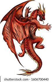 mythical fairy red dragon vector