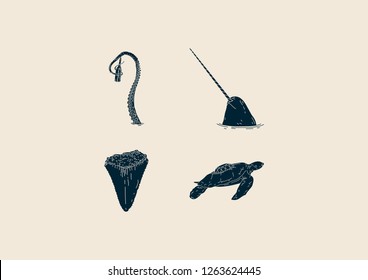 Mythical Illustrations (Fill) : 1.Octopus 2.Norwhal 3.Fossil Shark Teeth 4.Turtle