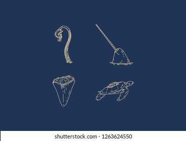 Mythical Illustrations (Outline) : 1.Octopus 2.Norwhal 3.Fossil Shark Teeth 4.Turtle