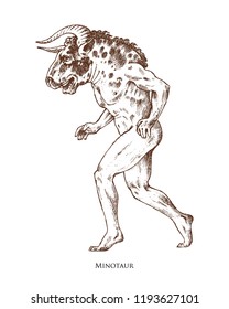 Mythical Minotaur. Mythological antique animal. Ancient man with a bull's head, fantastic creatures in the old vintage style. Engraved hand drawn old sketch.
