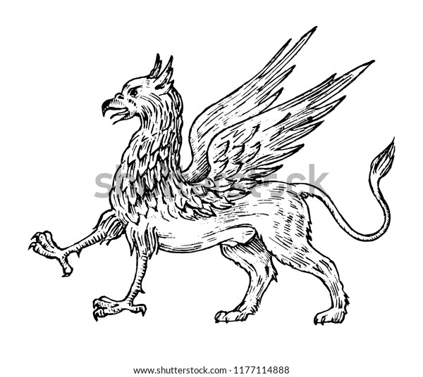 Mythological Animals Mythical Antique Griffin Ancient Stock Vector ...