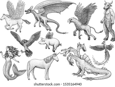 Mythological Creatures Illustration Drawing Engraving Ink Stock Vector  (Royalty Free) 1535164940