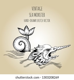 Mythological vintage sea monster. Fragment of decoration old pirate geographical map