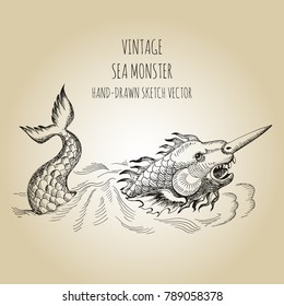 Mythological vintage sea monster. Fragment design of old pirate geographical map