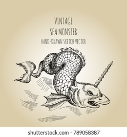 Mythological vintage sea monster. Fragment design of old pirate geographical map