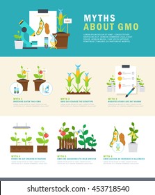 Myths about GMO. Colorful vector infographic with illustrations and simple data. Perfect for agricultural or scientific brochures, other materials.