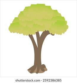 n addition to being a place to store carbon, trees also function to conserve soil, to regulate the water cycle. Trees will support the natural and human food system. Trees are also home to countless s