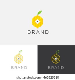 N letter fruits vector logo template