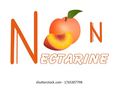 N n ( Nectarine ) Alphabet for children education. Vector illustrations