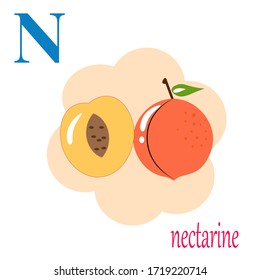 N is for nectarine illustration alphabet 