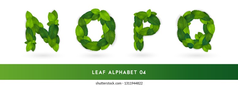 N O P Q Realistic green leaves eco alphabet set. Greenery leaf elements font concept isolated on white background. Vector illustration