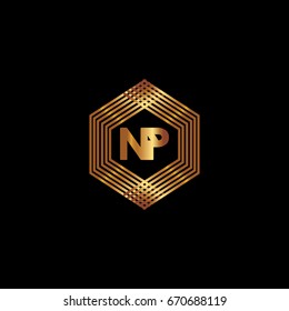N P Logo