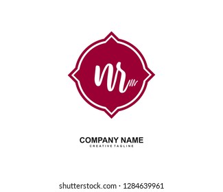 N R Initial Handwriting Logo Template Vector
