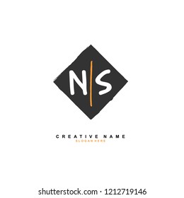 N S NS Initial abstract logo concept vector