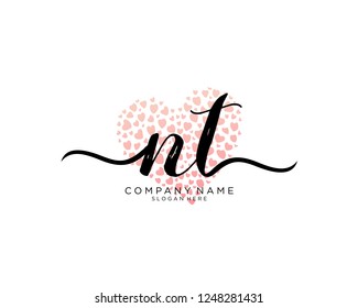 N T Initial handwriting logo vector