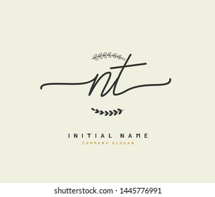 N T NT Beauty vector initial logo, handwriting logo of initial signature, wedding, fashion, jewerly, boutique, floral and botanical with creative template for any company or business.
