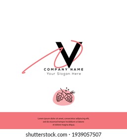 N V NV V N VN Initial letter handwriting and signature logo. Beauty vector initial logo .Fashion, boutique, floral and botanical