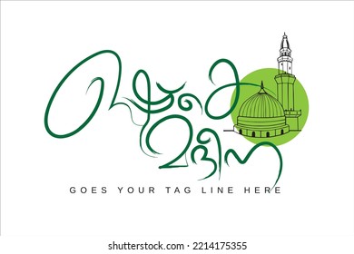 Nabidinasamsakal translated to milad un nabi mubarak