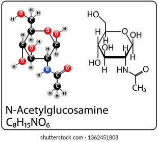 N-Acetylglucosamine Molecule Structure