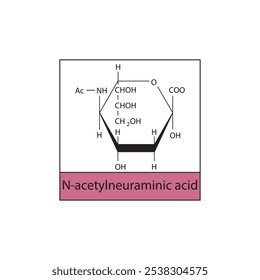 Diagrama de estructura esquelética N-acetilneuramínica. Molécula compuesta de ácido siálico ilustración científica.