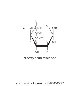 Diagrama de estructura esquelética N-acetilneuramínica. Molécula compuesta de ácido siálico ilustración científica.