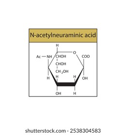 Diagrama de estructura esquelética N-acetilneuramínica. Molécula compuesta de ácido siálico ilustración científica.