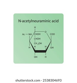 Diagrama de estructura esquelética N-acetilneuramínica. Molécula compuesta de ácido siálico ilustración científica.