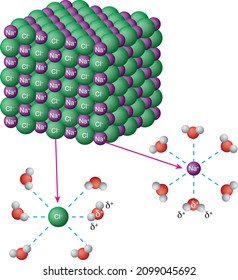 Nacl Hydration H2o Molecules Physics Chemistry Stock Vector (Royalty ...