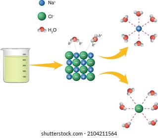 NaCl. Hydration. H2O Molecules. Physics, Chemistry, Biology. Interaction