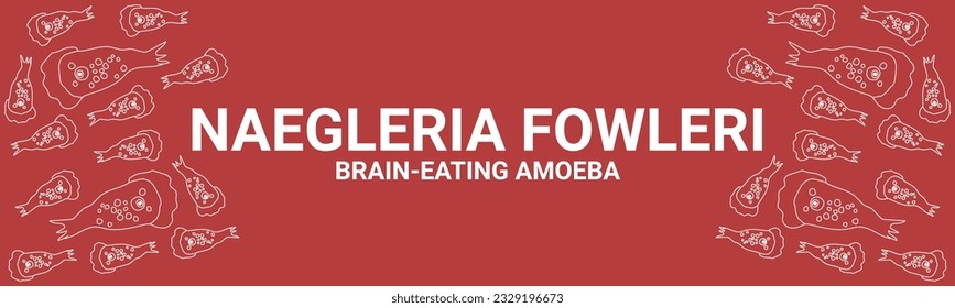 Pancarta roja vectorial negleria fowleri para la toma de conciencia de la propagación de la enfermedad, síntomas o precauciones, infección por ameba que come el cerebro, naegleriasis. formas trofozoitas, paso nasal de parásitos neglerianos.