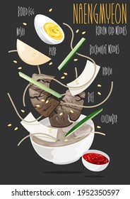 Naengmyeon. Korean cold noodles. Vector illustration