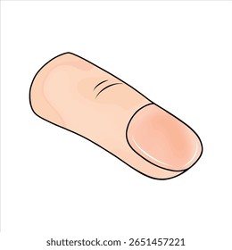 Vetor de ilustração de ícone de parte de corpo unha