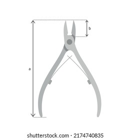 Nail Clipper Vector Illustration For Beauty School Guide, Nail Cutter Size, Manicure Tutorial