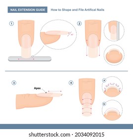 Nail extension guide. How to Shape and File Artificial Nails the Right Way. Step by Step Instruction. Professional Manicure Tutorial. Vector illustration