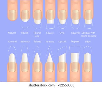 Nail Forms Female Manicure Set Kinds Stock Vector (Royalty Free ...