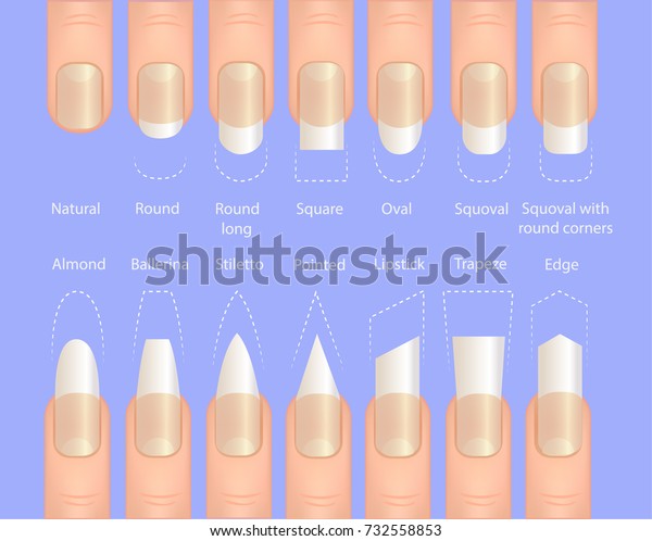 Nail Forms Female Manicure Set Kinds Stock Vector Royalty Free