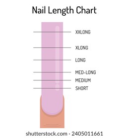 Tabla de longitud de la uña. Gráfica de archivos de Nail. Infografía de vectores