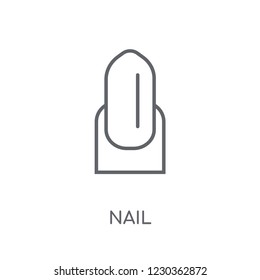 Nail linear icon. Modern outline Nail logo concept on white background from Hygiene collection. Suitable for use on web apps, mobile apps and print media.