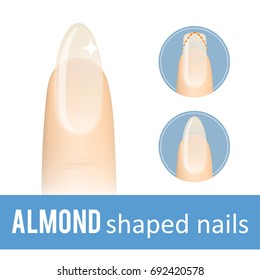 Nail manicure. How to make almond nail shape. Vector