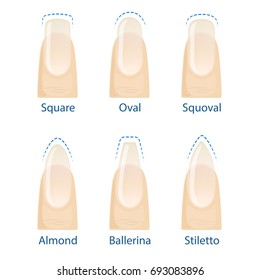 Nail manicure, set of nails shapes - oval, square, almond, stiletto, ballerina, squoval. Vector