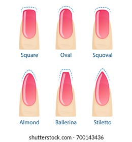 Nail manicure, set of nails shapes - oval, square, almond, stiletto, ballerina, squoval. Vector