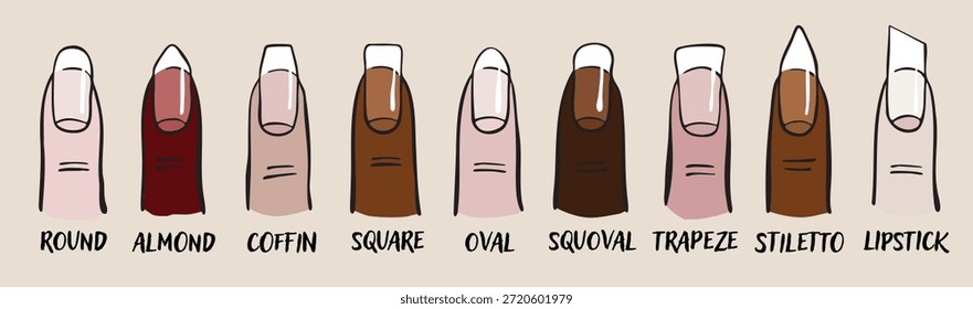 ilustração de gráfico de forma de unha - vetor de guia de formas de unha de manicure

