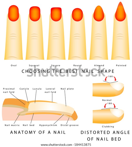 different nail shapes 2020
