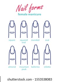 Nail shapes female manicure. Different nail forms. Salon nails type trends for your design - Shutterstock ID 1553538083