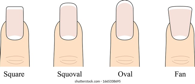 Nail shapes vector. Different nail shapes - Fingernails fashion Trends