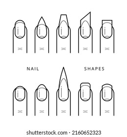 Nail shapes. Vector stock linear icons