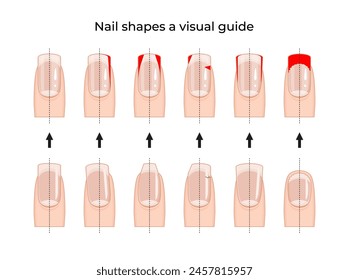 Nail shapes a visual guide -01
