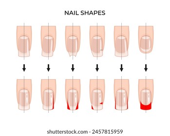 Nail shapes a visual guide -02