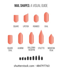 Nail shapes. Visual guide in minimalism style.